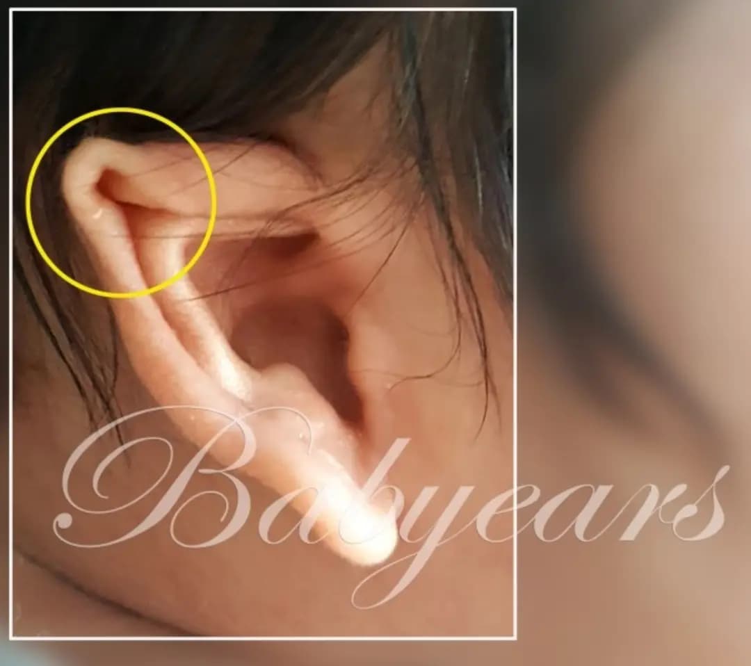 요정귀